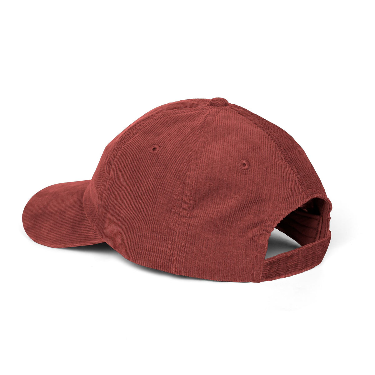 "WYCTMCTS" embroidered hat
