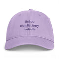 "its too nonfictiony outside" embroidered hat